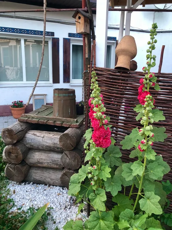 Ростов казачий