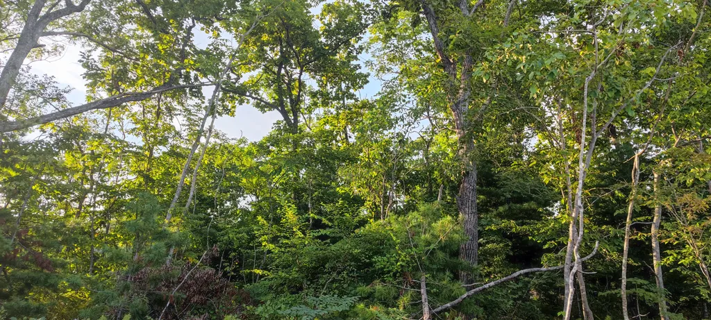 Коттедж с купелью рядом с морем