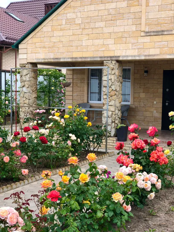 Дом Монтана