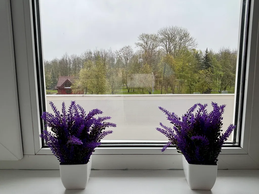 Апартаменты Благодать