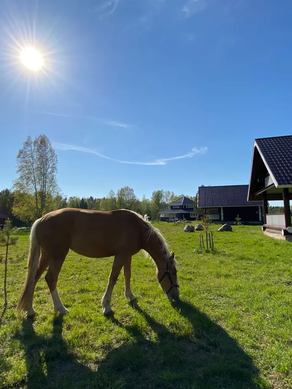 Коттедж в Усадьбе Верхнее Никольское отдых на природе с комфортом