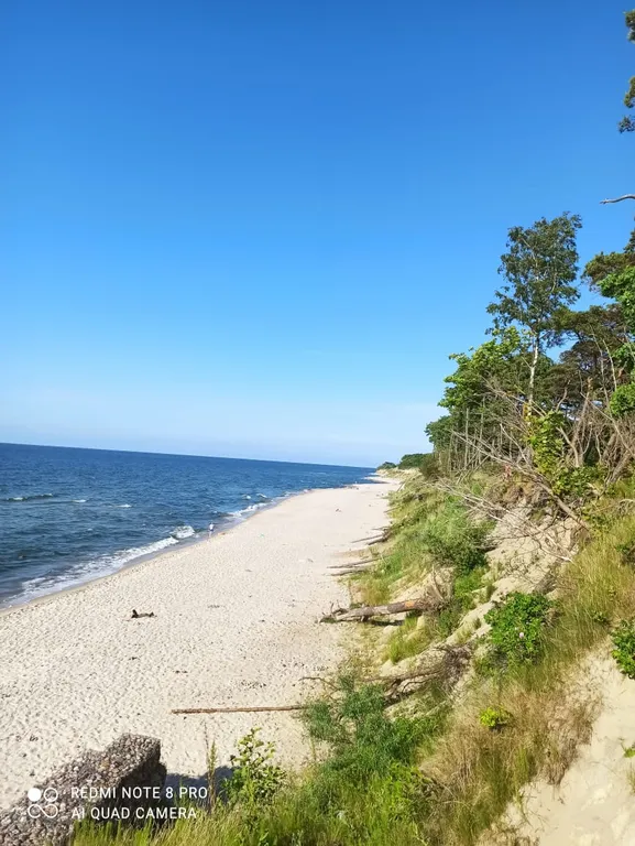 Уютный дом на побережье, на опушке соснового бора