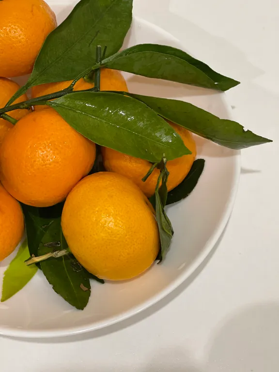 Студия - комфорт