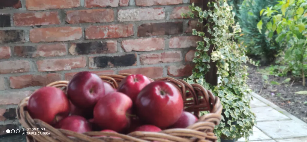 Небольшая дружелюбная студия с патио