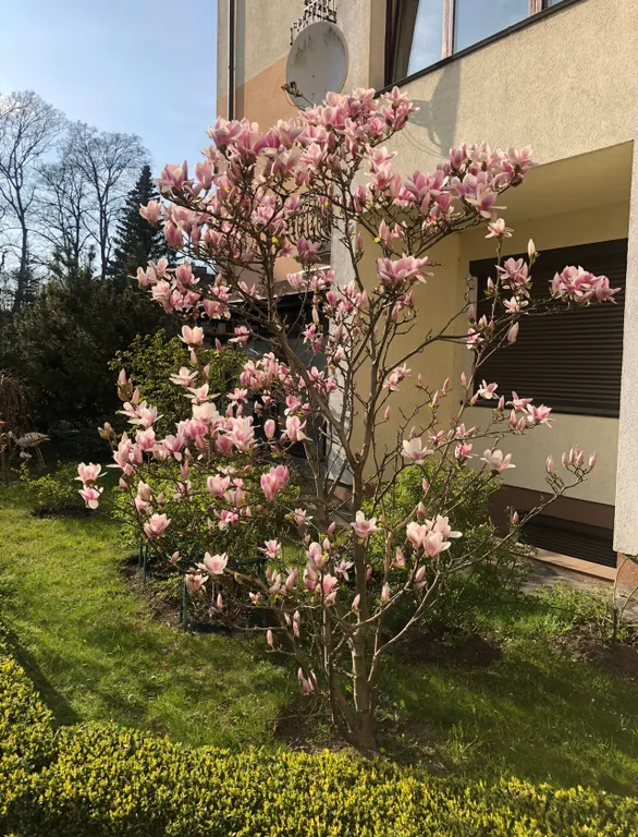 Уютная квартира в самом центре