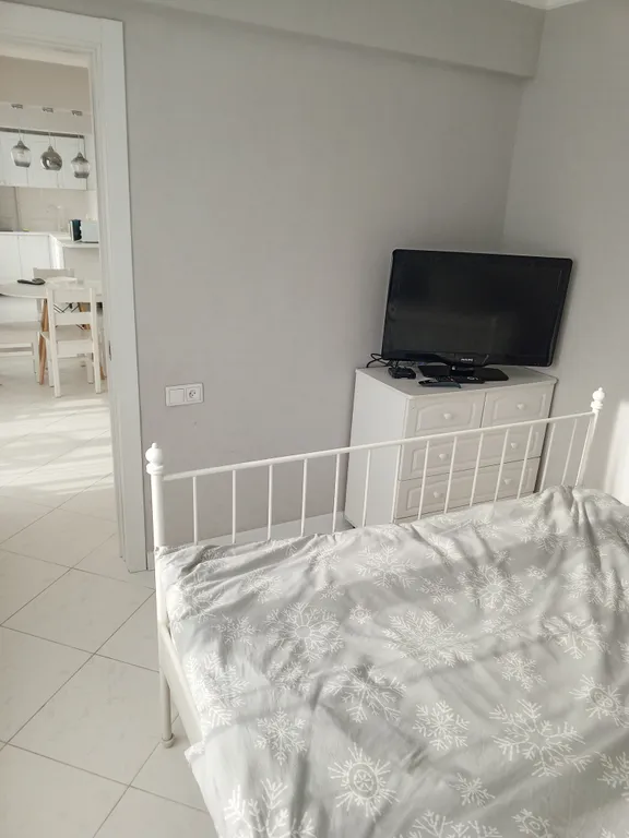 Уютная и просторная квартира в центре города