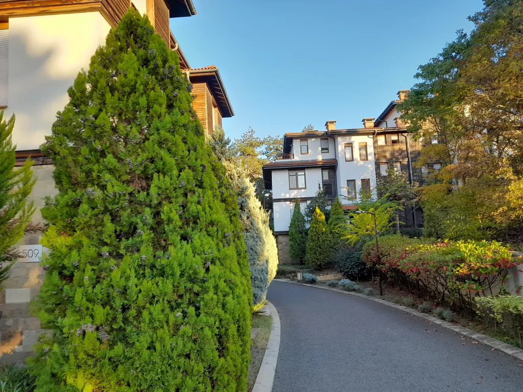 Трехкомнатный люкс в соснах у моря в Санта Марина