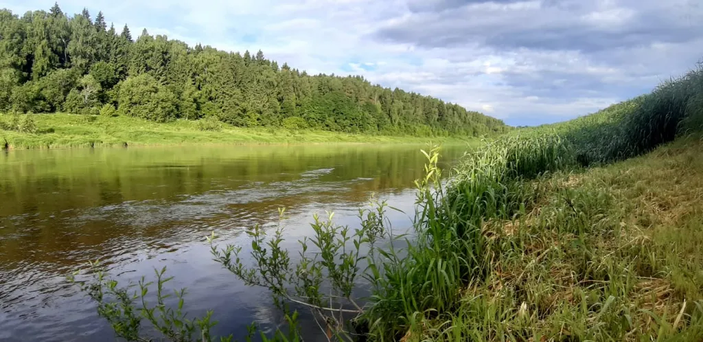 Дом у реки Угра, Лес, Поле, Рядом Николо-Ленивец