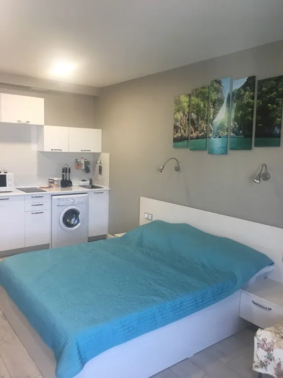 1-комнатная Квартира — аренда посуточно в Батуми