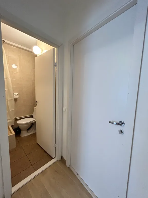 Уютная студия в двухкомнатной квартире