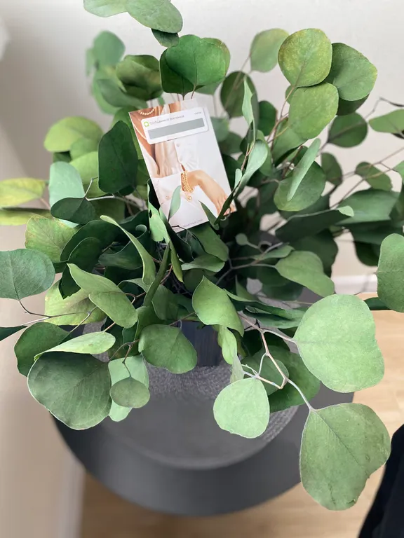 Уютная квартира в новом микрорайоне