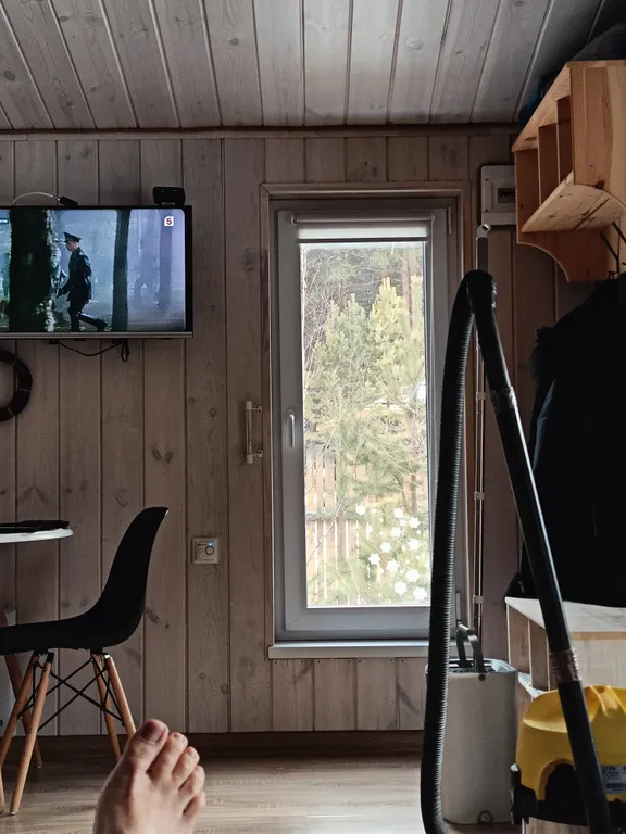 Темный домик на опушке леса