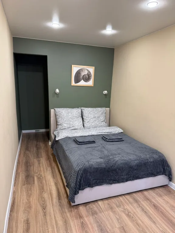 Апартаменты Сова в центре Великого Новгорода