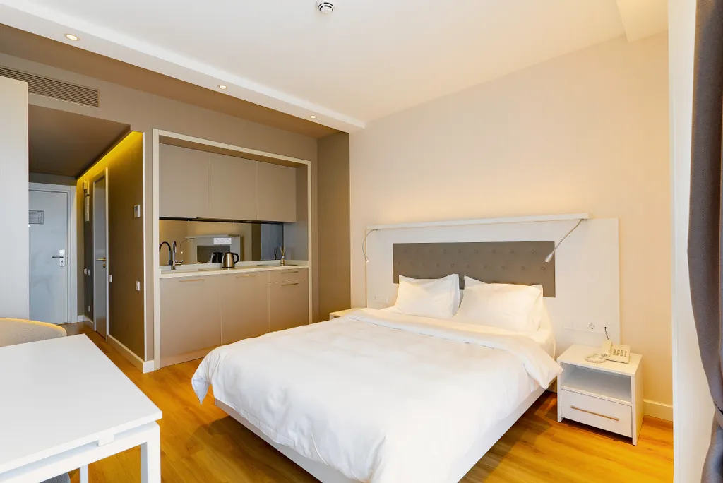 Grand Studio In Alliance Palace