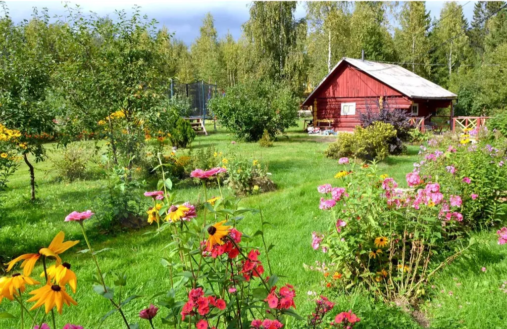 Домик у леса