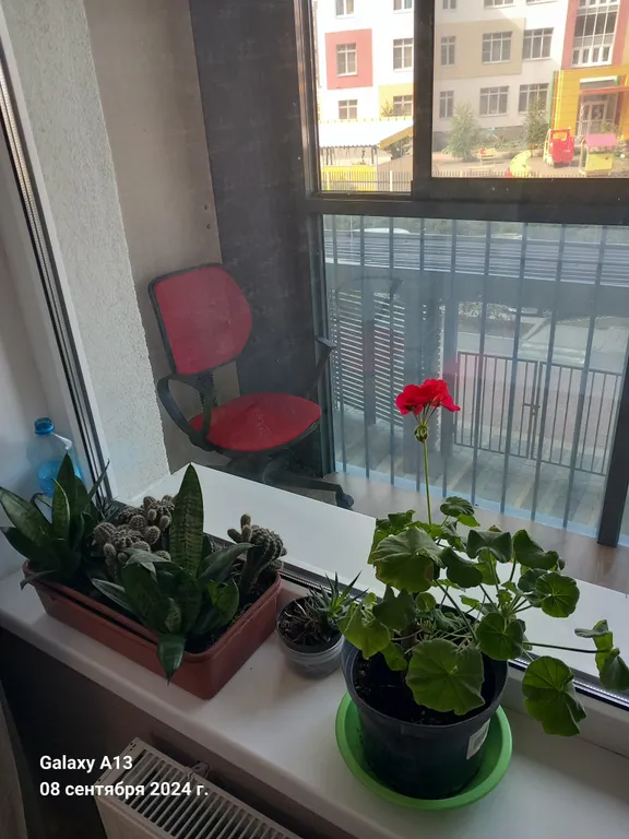 Уютная квартира в Солнечном