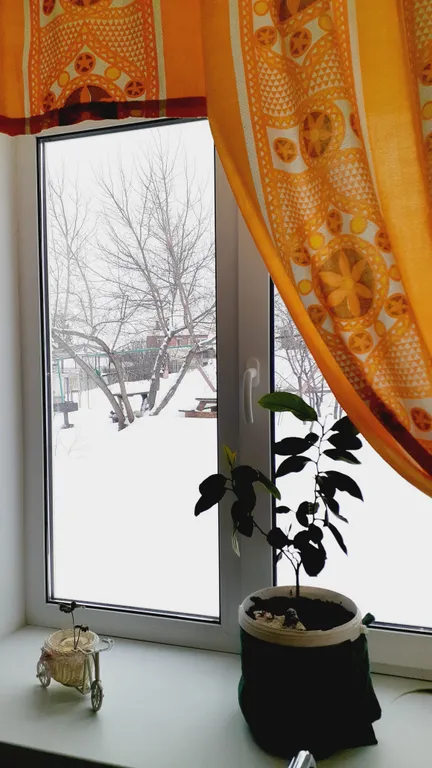 Дом Над Лесом