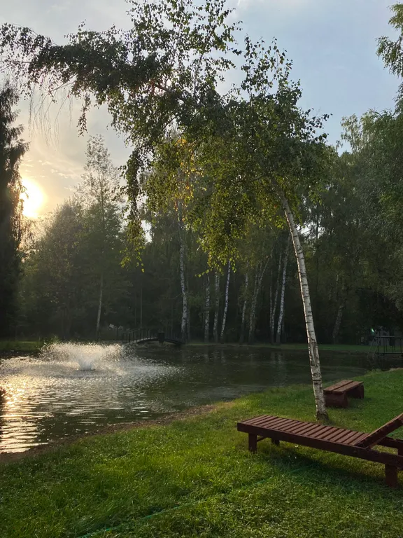 Уютный домик в лесу у пруда