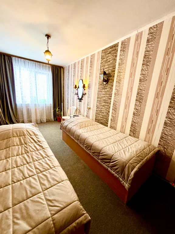 Апартаменты Драная кошка