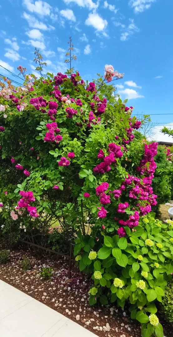 Фото