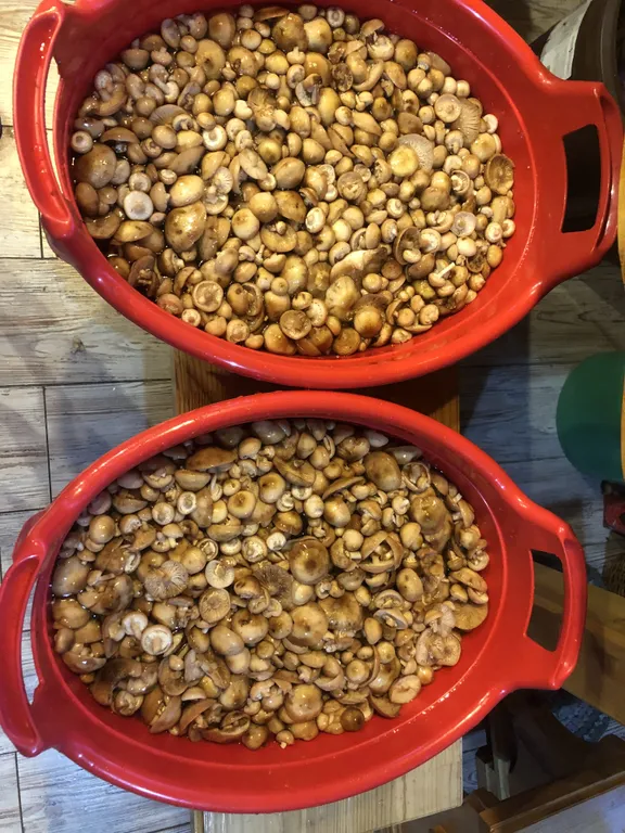 Домик в глуши