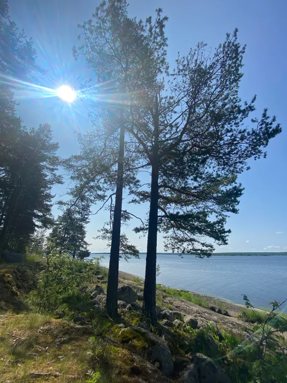 Уютный гостевой дом