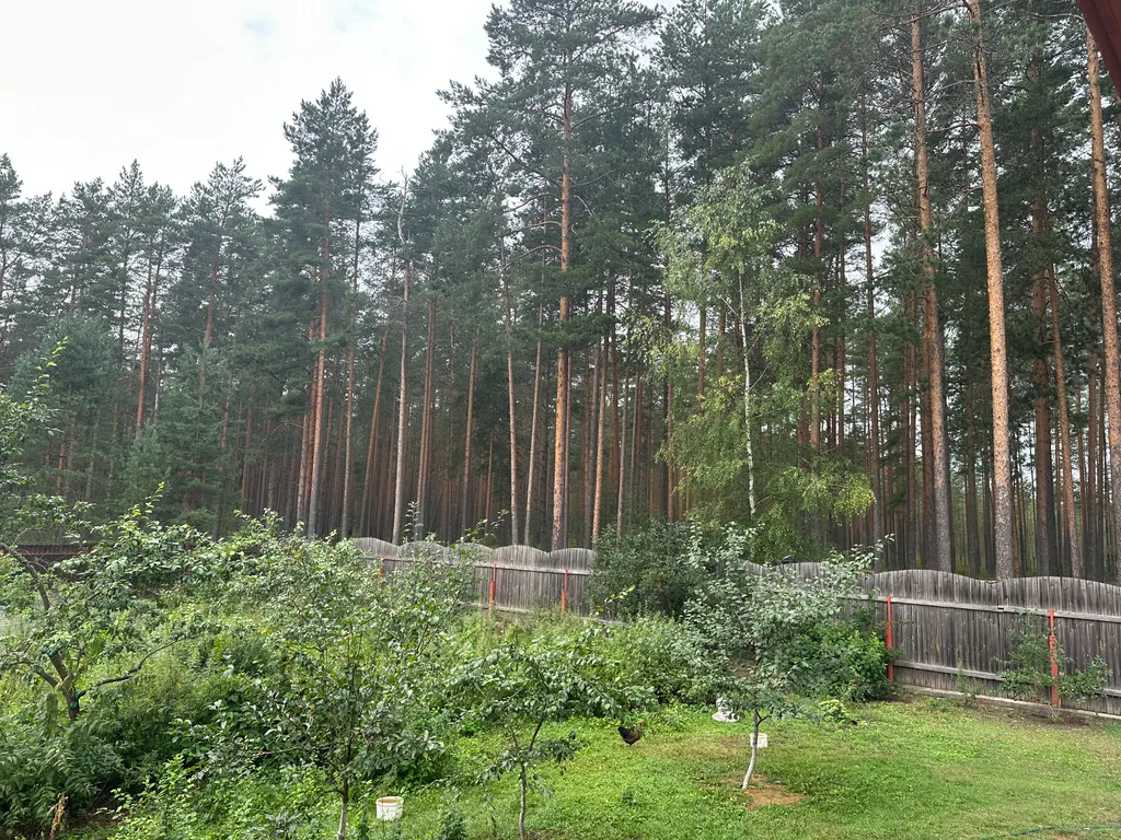 Сосновый Бор