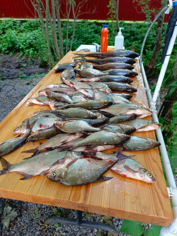 Коттедж Уютный домик на берегу озера Отрадное — Солнечное