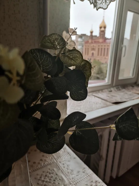 Семейная квартира в центре города