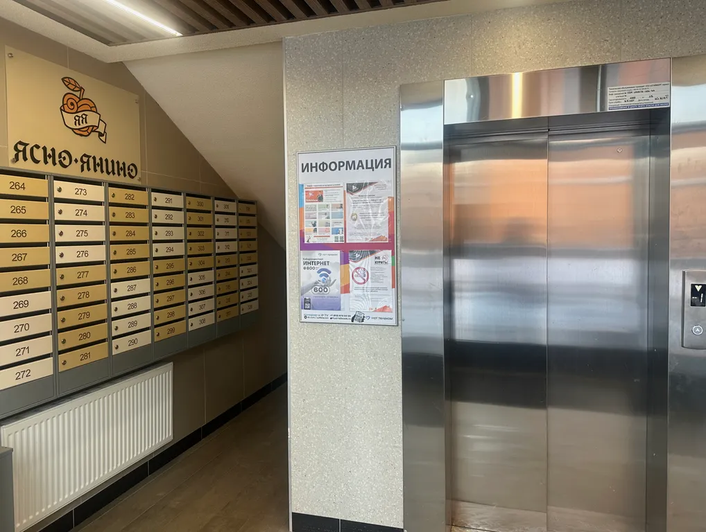 Студия с видом на лес