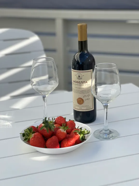 Модуль Дача-1