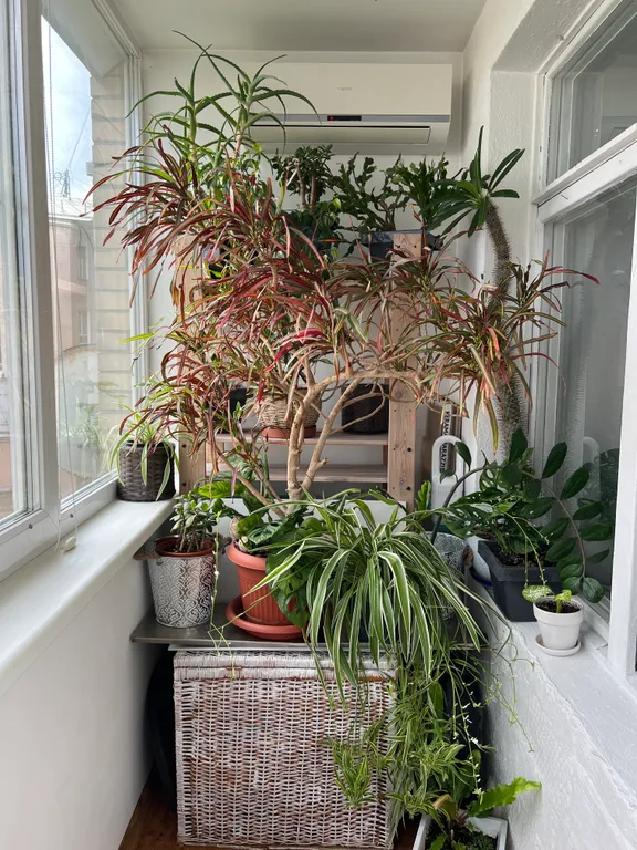 Квартира Уютная квартира с прекрасным видом в центре Москвы — Москва