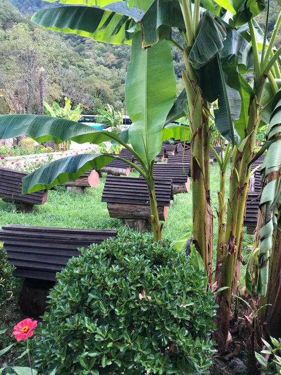 Квартира Уютная квартира с видом в парк — Сириус