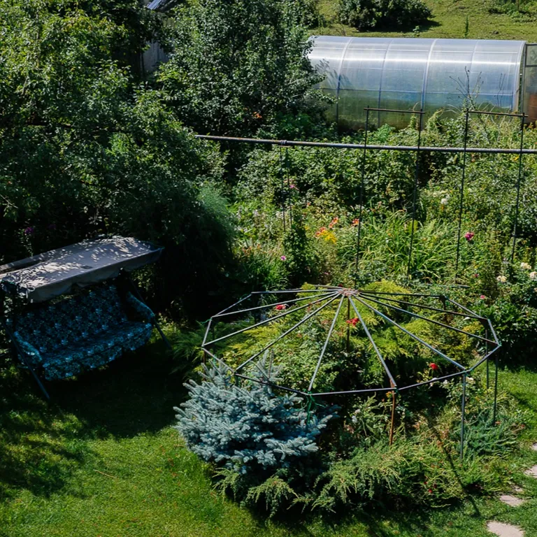 Домик прямо на берегу озера Тосканка