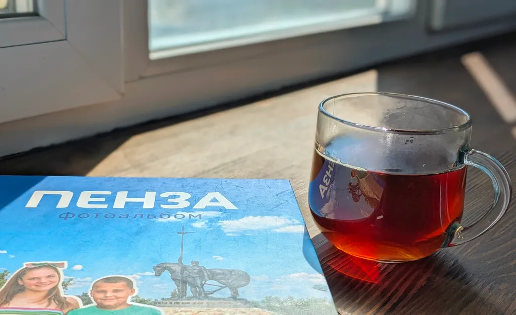 Nice Place Penza | Central Hub