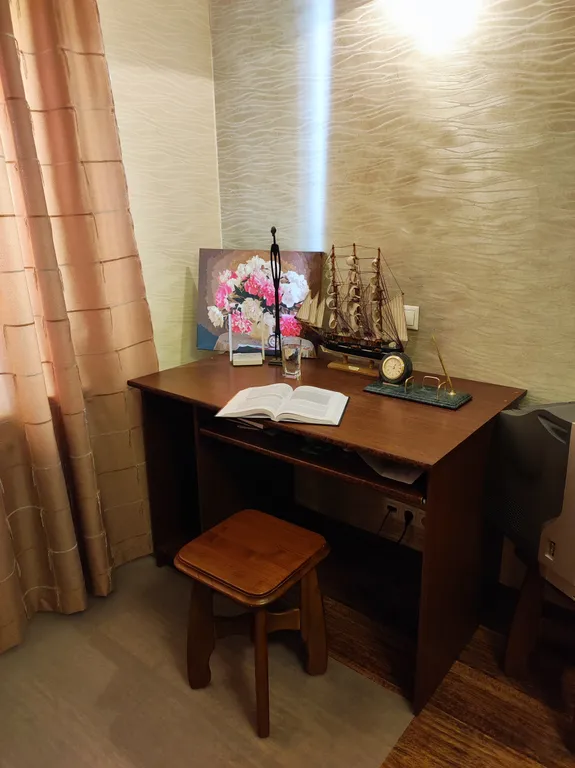 Однушка на Золотой Набережной