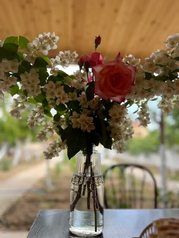 Дачный домик на берегу Каспийского моря