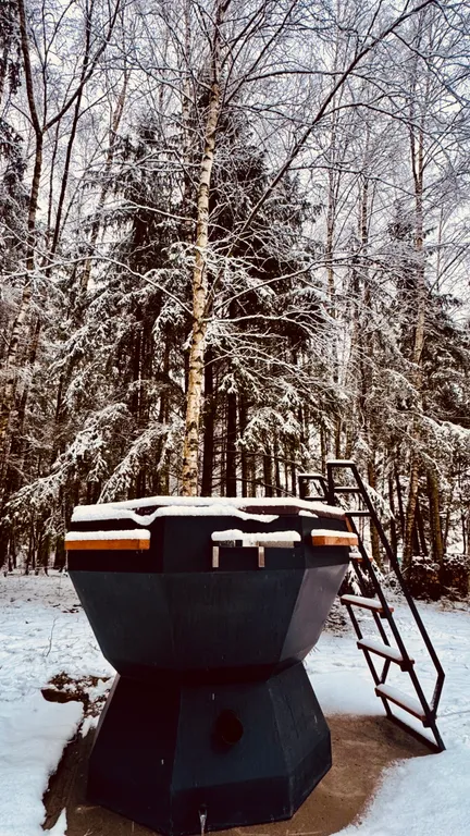 Дом с сибирским банным чаном в лесу