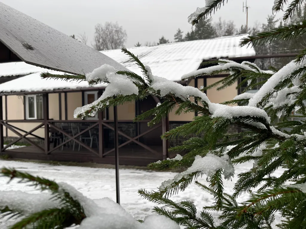Коттедж 3-комнатный Дом — Санкт-Петербург