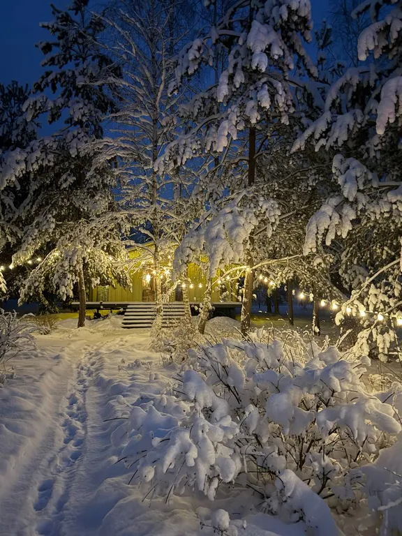 Домик в лесу