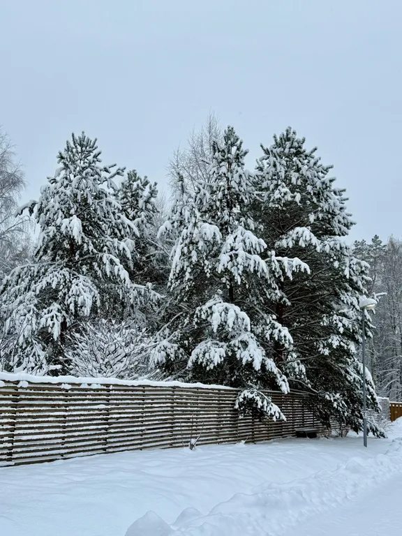 Домик в лесу