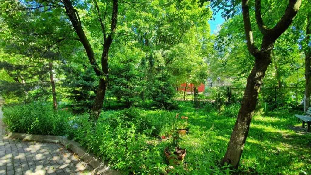 Квартира Квартира в историческом доме — Калининград