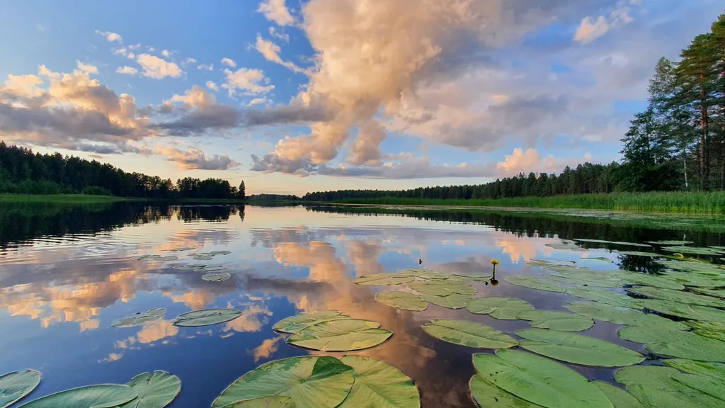 Дом на берегу