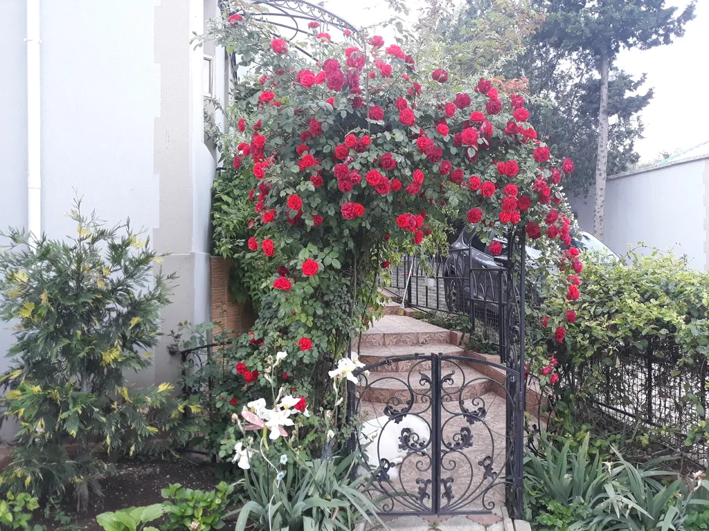 Коттедж Уютный домик — Севастополь