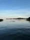 Алена