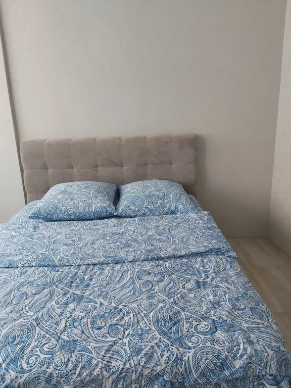 Большая 2-комнатная квартира в центре города с новым современным ремонтом