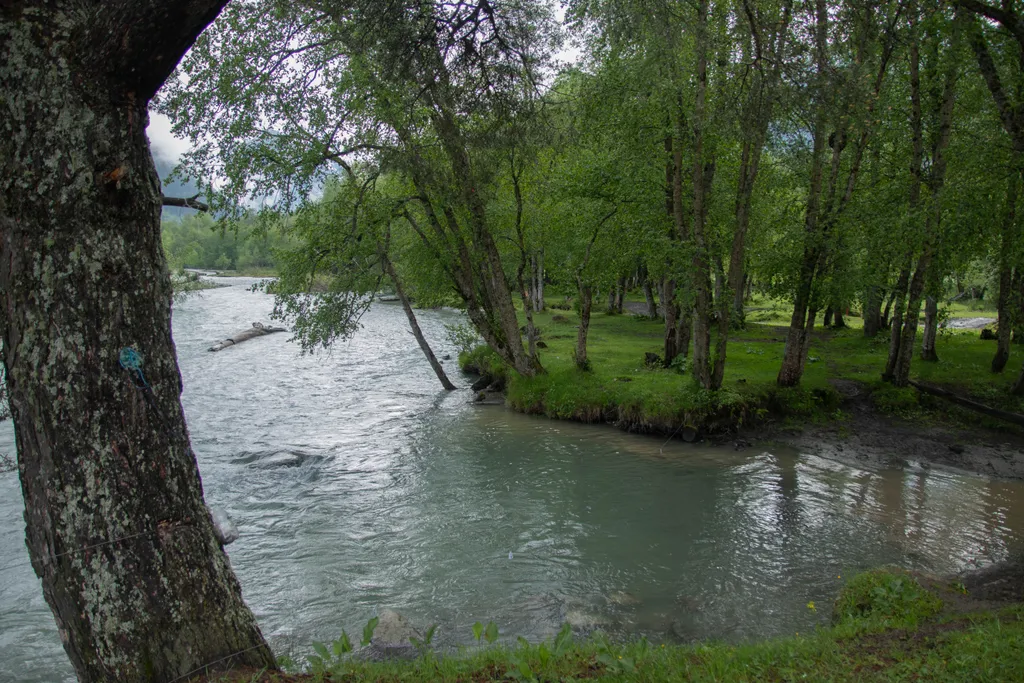 Гостевой дом Артур