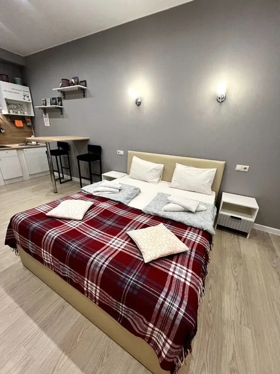 Современная комфортная студия