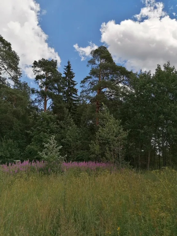 Уютная квартира с хорошим ремонтом в ЖК Первый Зеленоградский