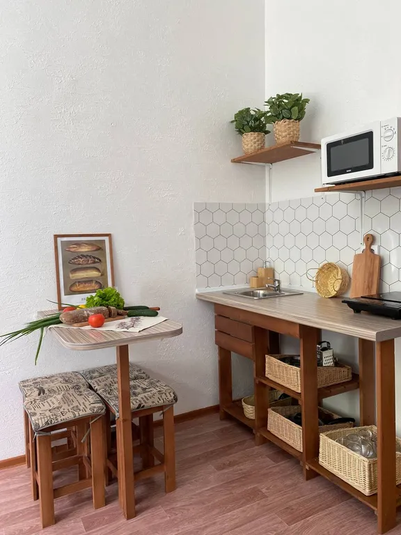 Студия рядом с зоопарком III